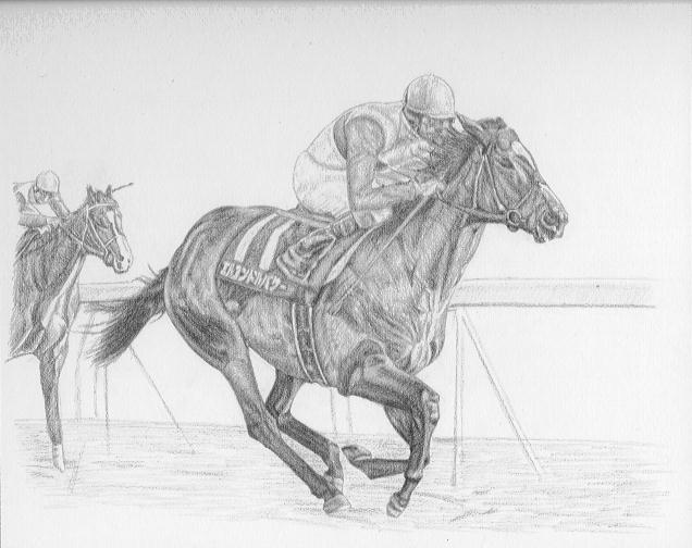 �G���R���h���p�T�[